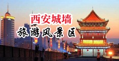 大屌操小受网站中国陕西-西安城墙旅游风景区